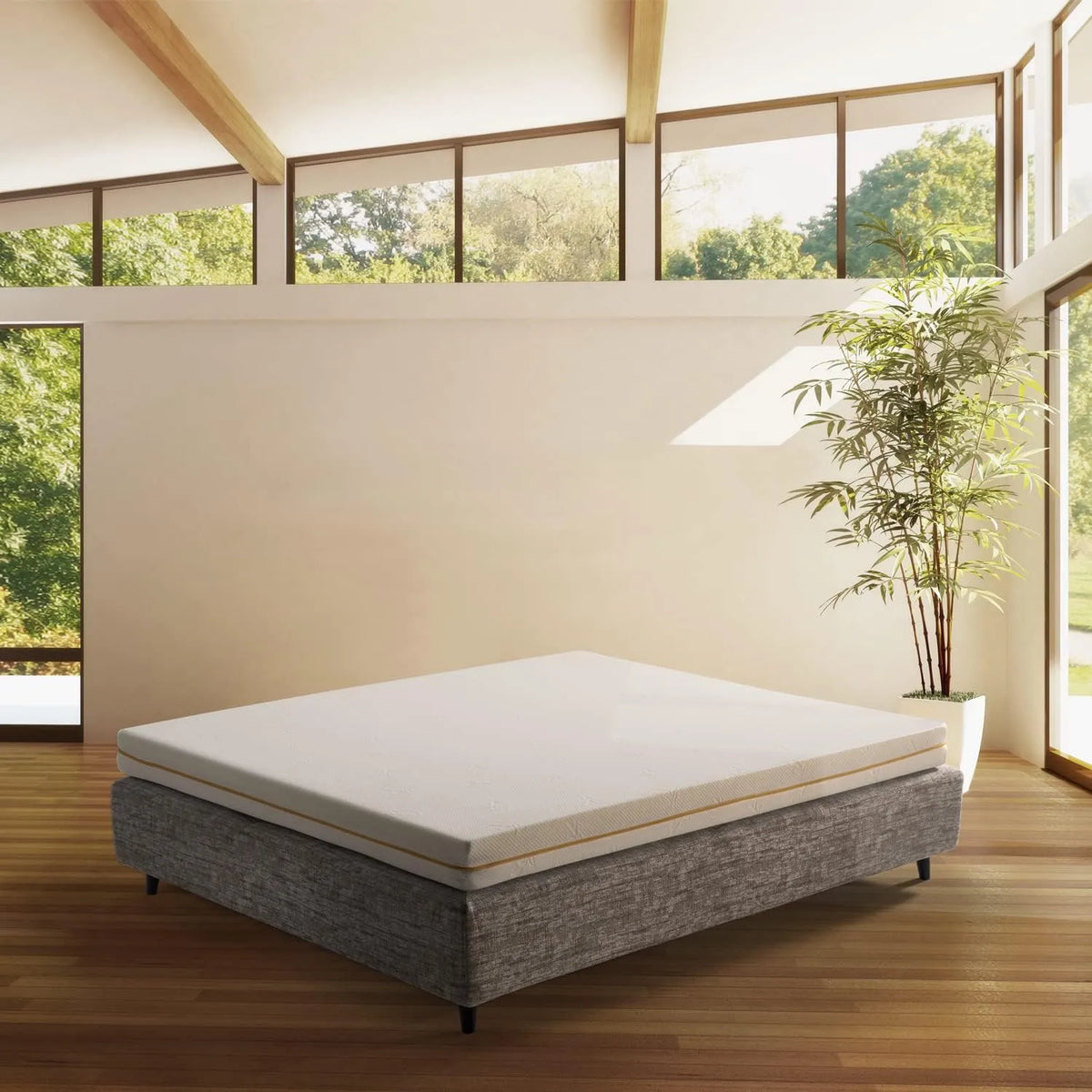 Divano letto e divano trasformabile: imbottitura in schiuma, pieghevole, 120 × 180, 12 cm
